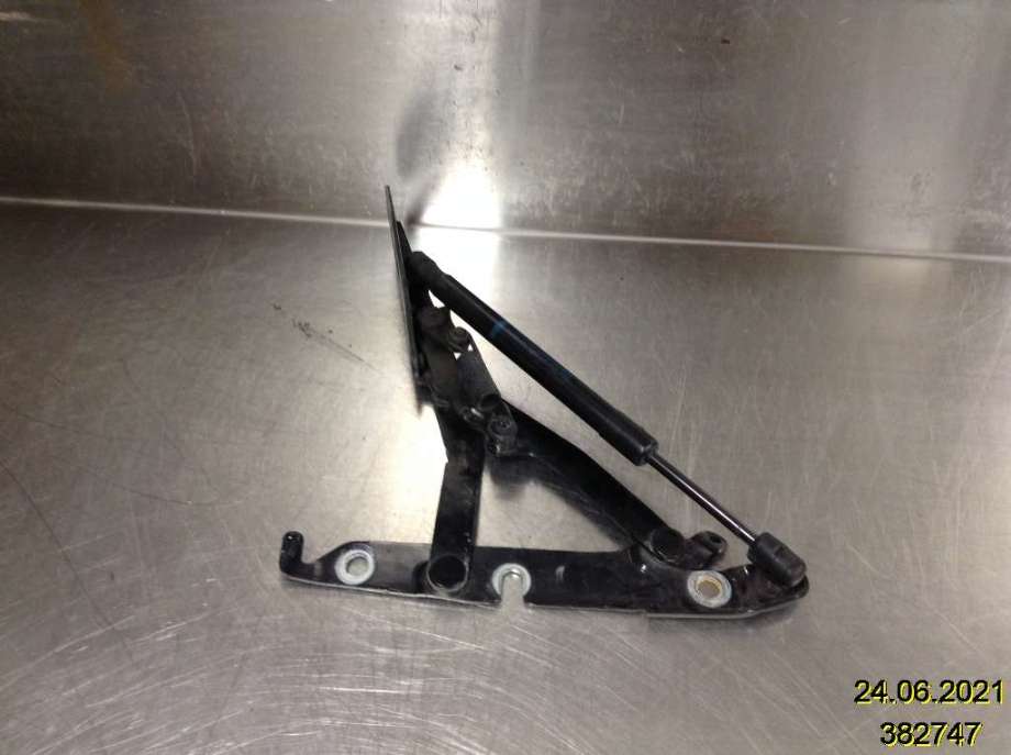 Hengsler til Audi A6 2008-2011 (Type III, Fase 2) (C6) (C6) (AUDI|4F5 827 302 E|)