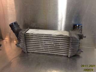 Intercooler til Citroën Jumpy, 2007-2016 (Type II)  (CITROEN|1440094280|E5542007)