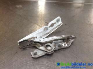 Panserhengsler til Ford Transit Connect, 2013-2018 Type II, Fase 1  (FORD|AM51-16801-AHLH)