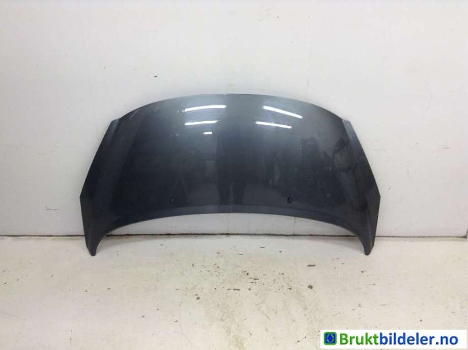 Panser til Peugeot 207, 2006-2012  (PEUGEOT|7901 N2)