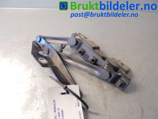 bilde