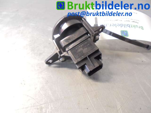 bilde