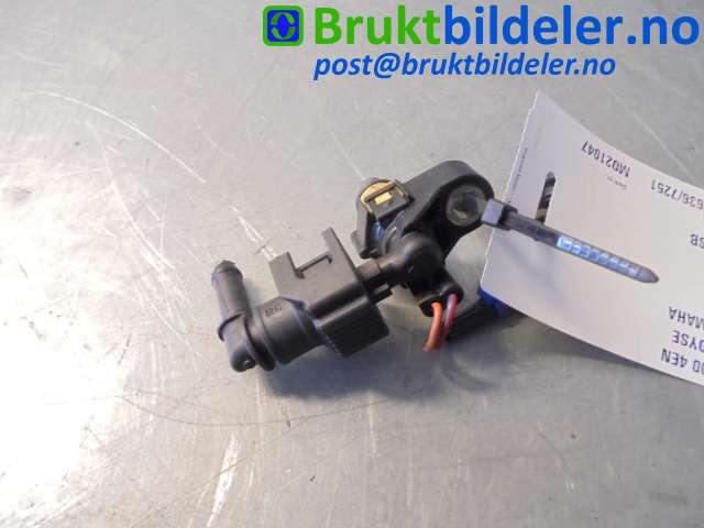 bilde