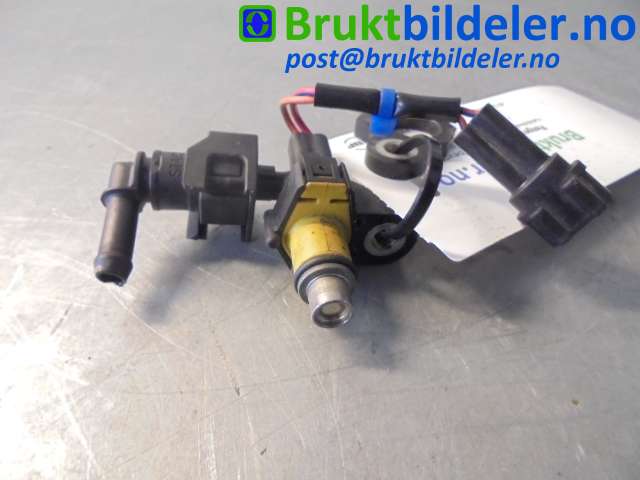 bilde