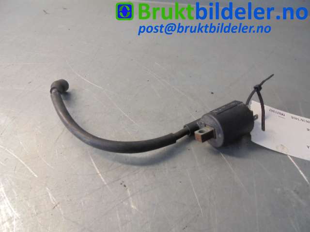 bilde