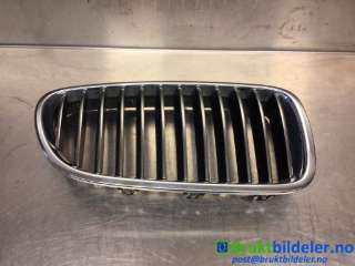 Grill til BMW 5-Serie,  (F10/F11) (BMW|51 13 7 200 728|188013-10)