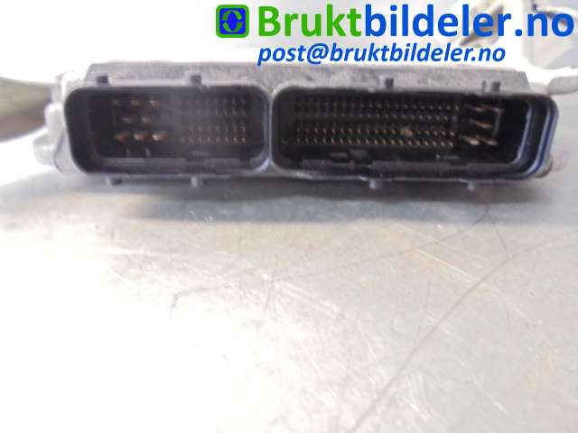 bilde