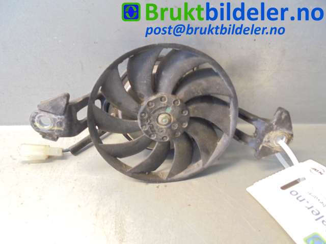 bilde