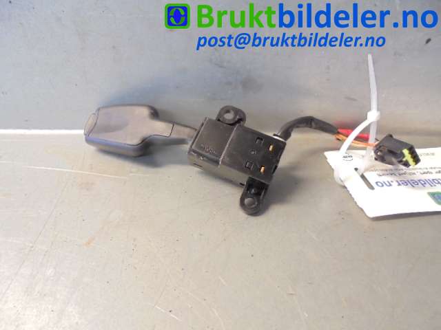 bilde