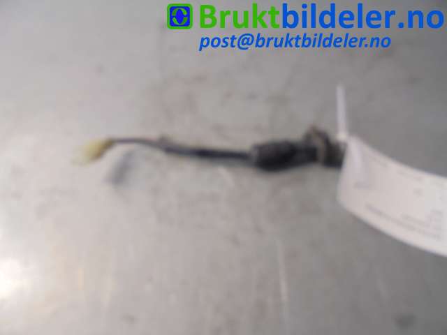 bilde