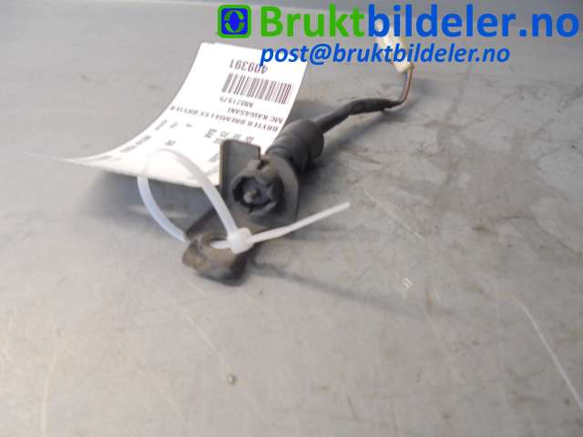bilde