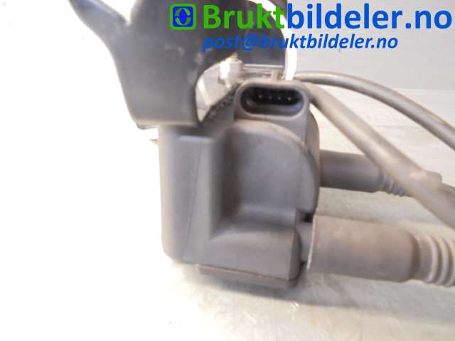 bilde