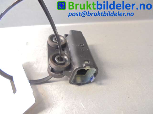 bilde