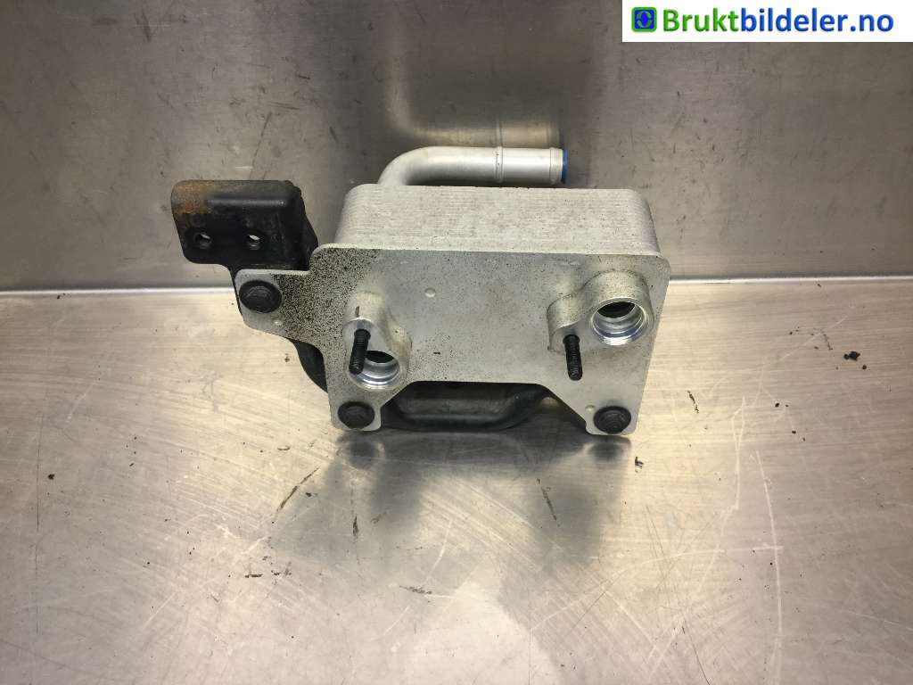 bilde