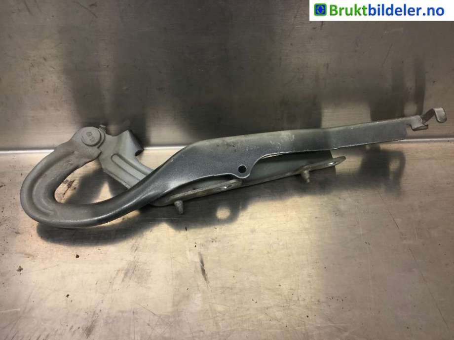 Panserhengsler til Peugeot 207, 2006-2012  (PEUGEOT|7912 97)