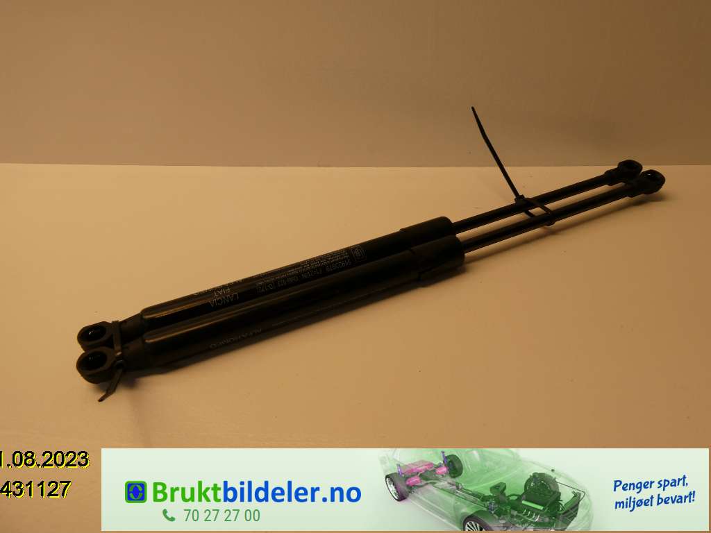 bilde