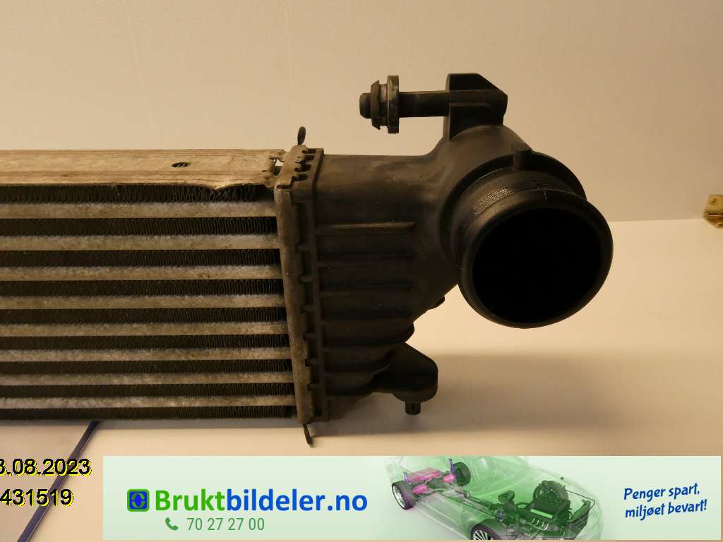 bilde