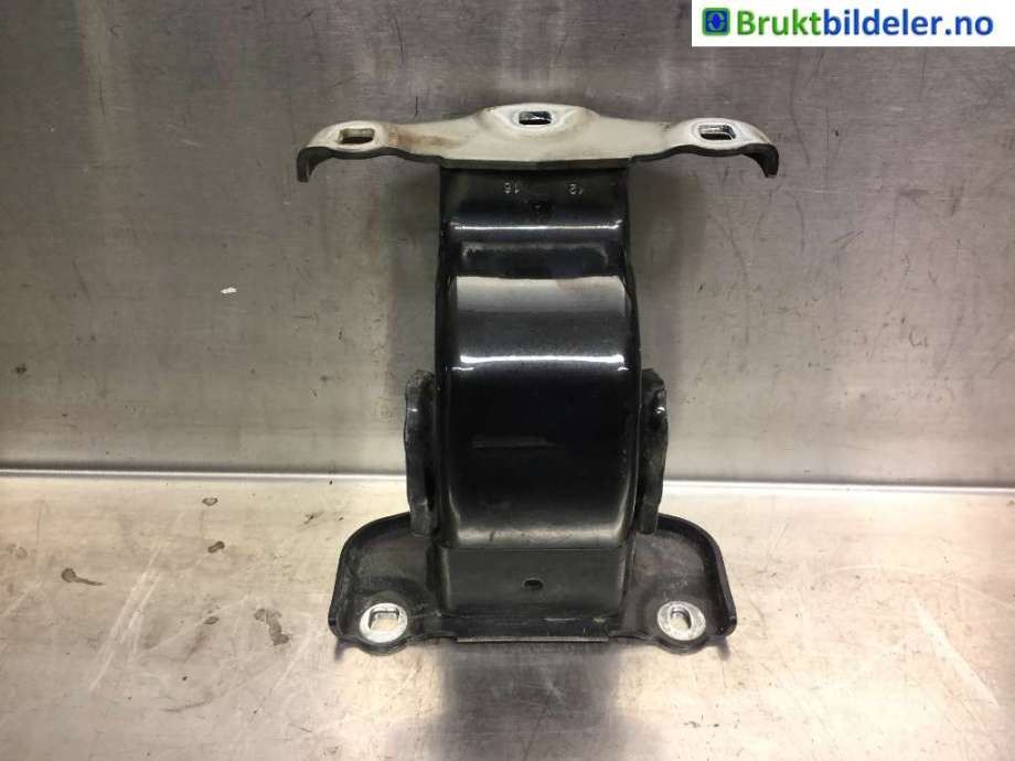 Hengsler til Renault Trafic, 2014-->> (RENAULT|904005453R)