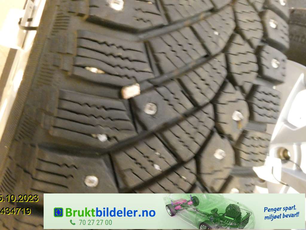 bilde