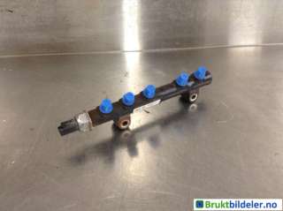Dyseskinne (fuelrail) til Ford Fiesta, 2008-2012 (Type VI, Fase 1)  (FORD|9670076780|110070362|9685297580-02)