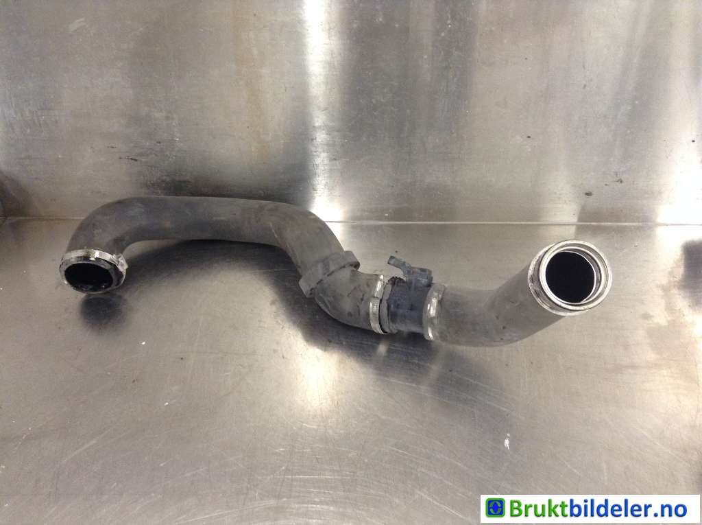 bilde
