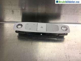 Taklyspanel til Tesla Model 3,   (TESLA|1092573-00-L)