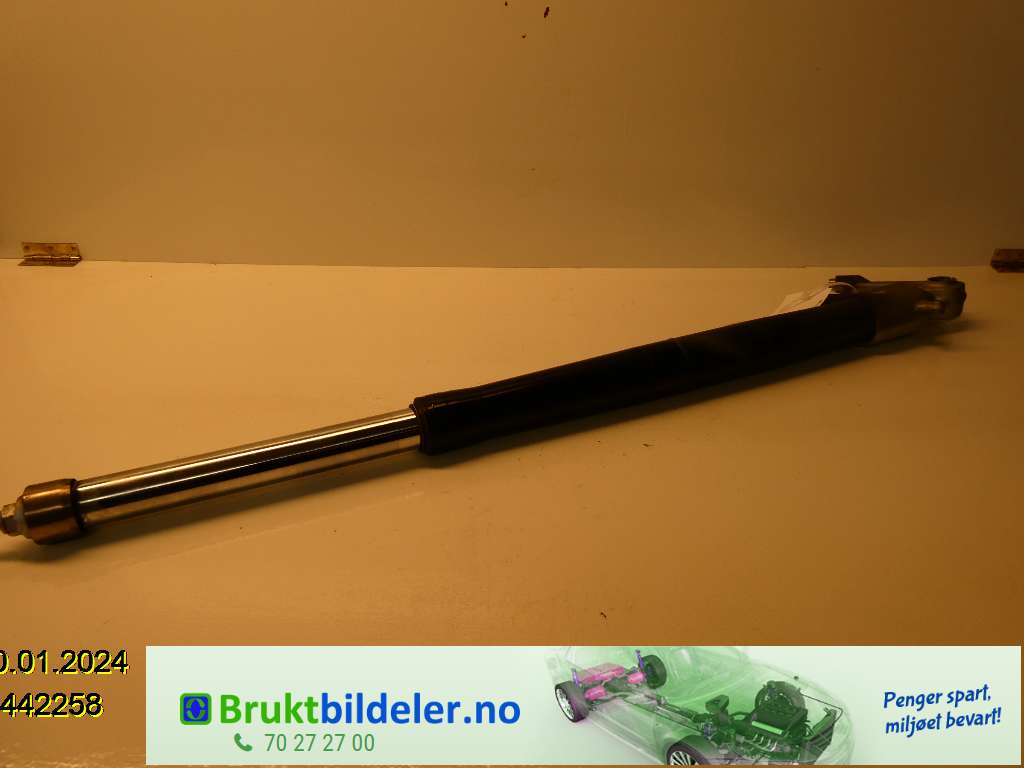 bilde