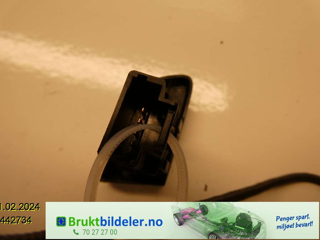bilde