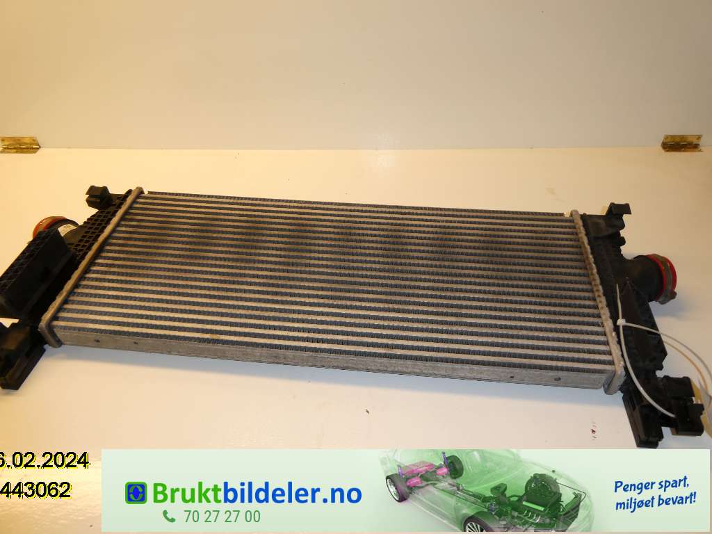 bilde