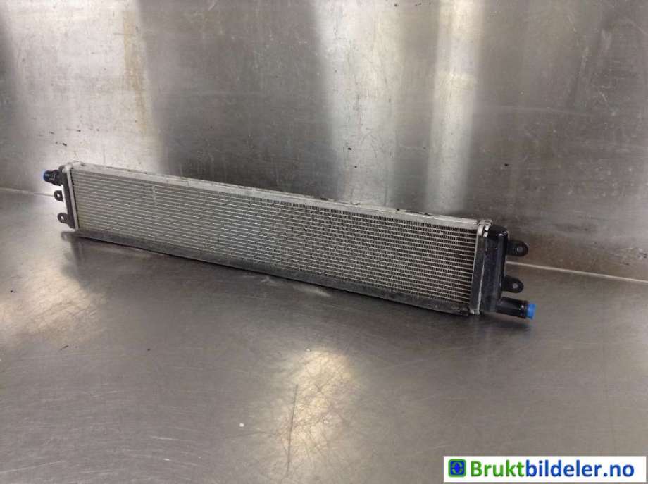 Radiator (automat gir) til Hongqi E-HS9, 2022-->>  (HONGQI EHS9|9246010 QR01)
