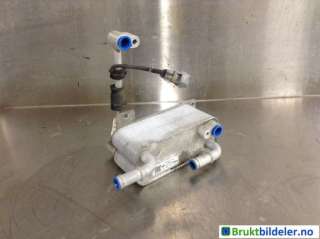 Aircondition radiator til Hongqi E-HS9, 2022->>  (HONGQI EHS9|8105050 QR01)
