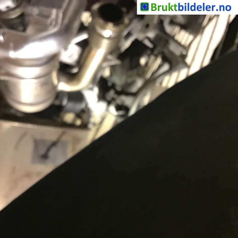 bilde
