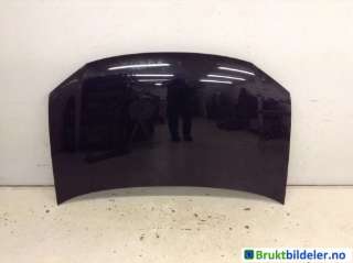 Panser til VW Touran, 2007-2010 (Type I, Fase 2)  (VOLKSWAGEN|1T0 823 031 L)