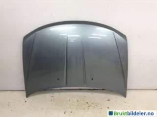 Panser til Dodge Journey, 2008-2010  (DODGE|5076777AC)