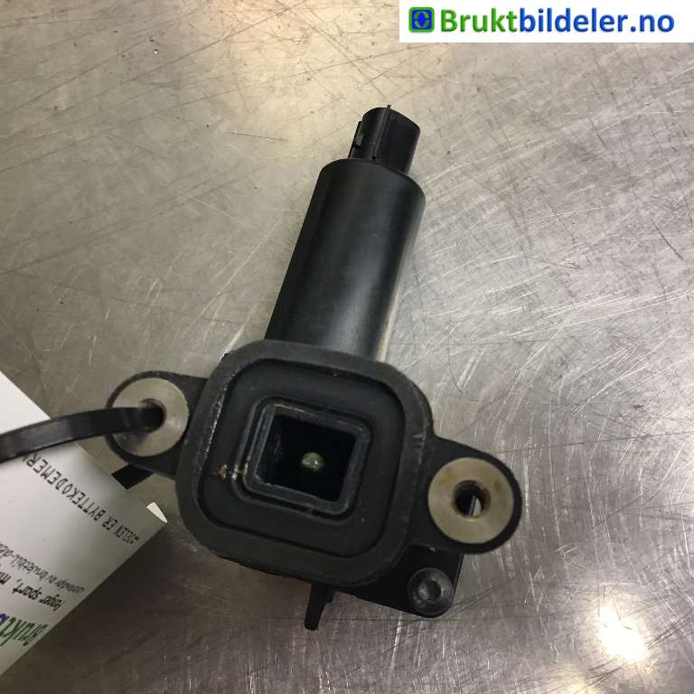 bilde