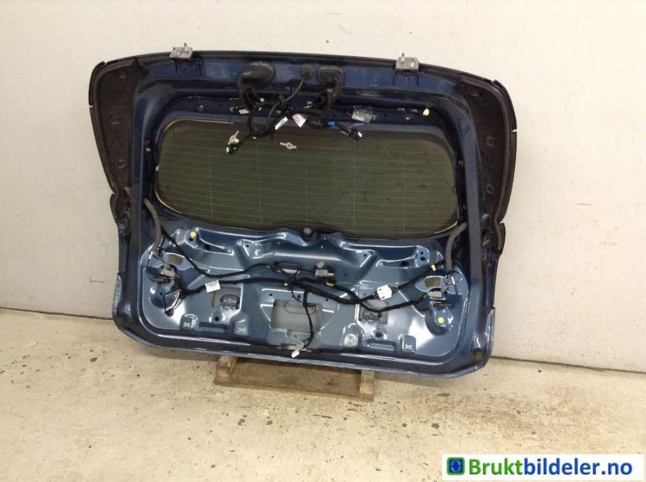 Bakluke til Ford Focus 2018-->> (Type IV) (FORD|2567221||2379242)