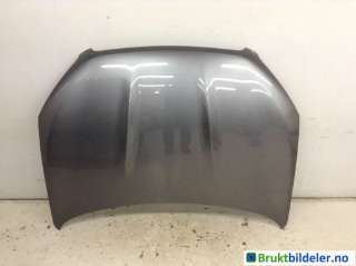 Panser til Nissan Qashqai,   (NISSAN|F5100BR0MC)