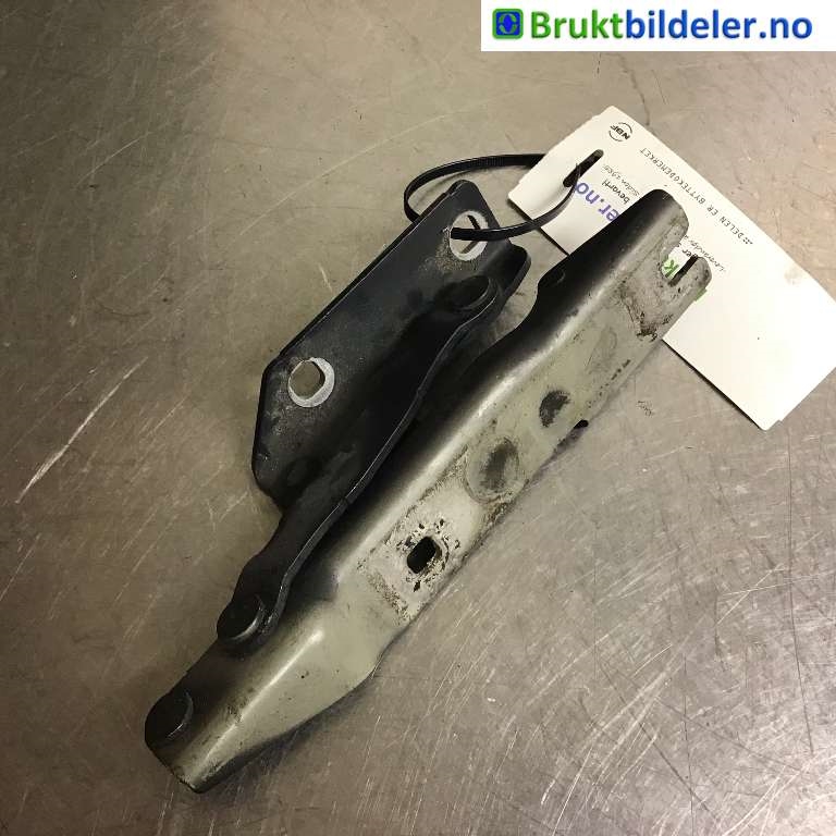 Panserhengsler til BMW 5-Serie 2003-2010 (E60/E61) (E60/E61) (BMW|41 61 7 120 275|)