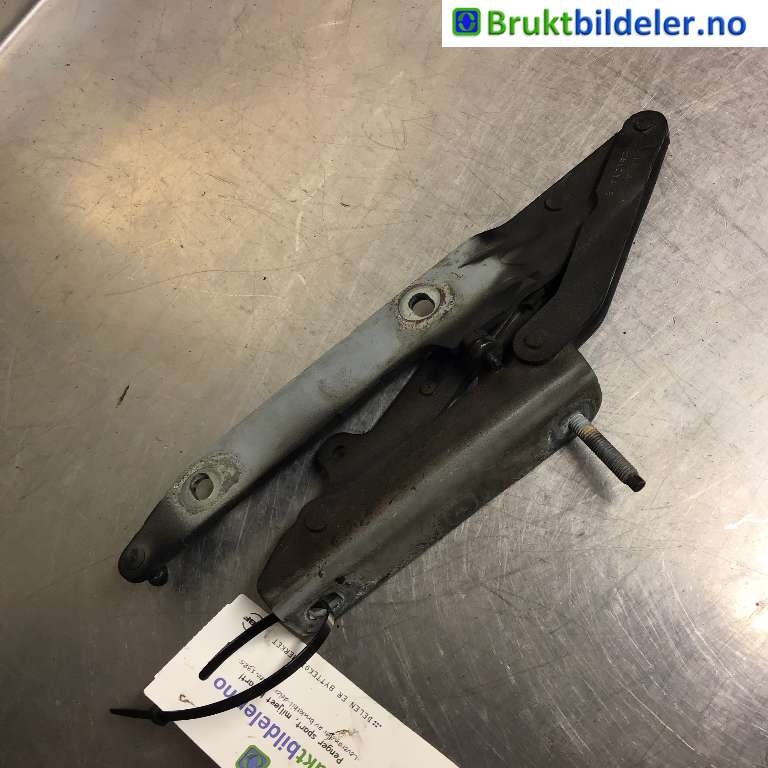 Panserhengsler til Land Rover Range Rover Sport 2005-2013  (LAND-ROVER|LR018697|BK3790031|4H2216537BB)