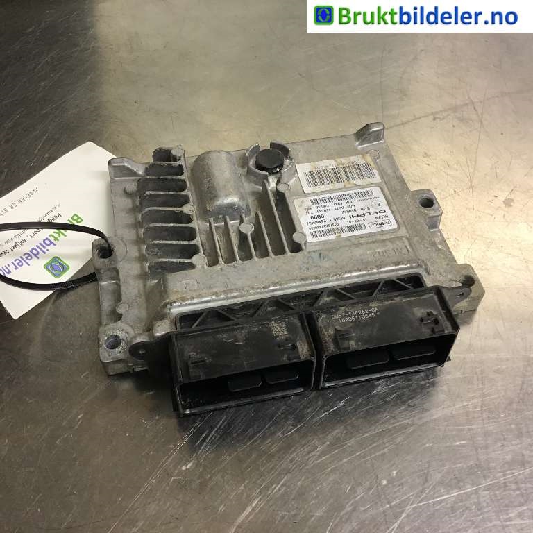 bilde