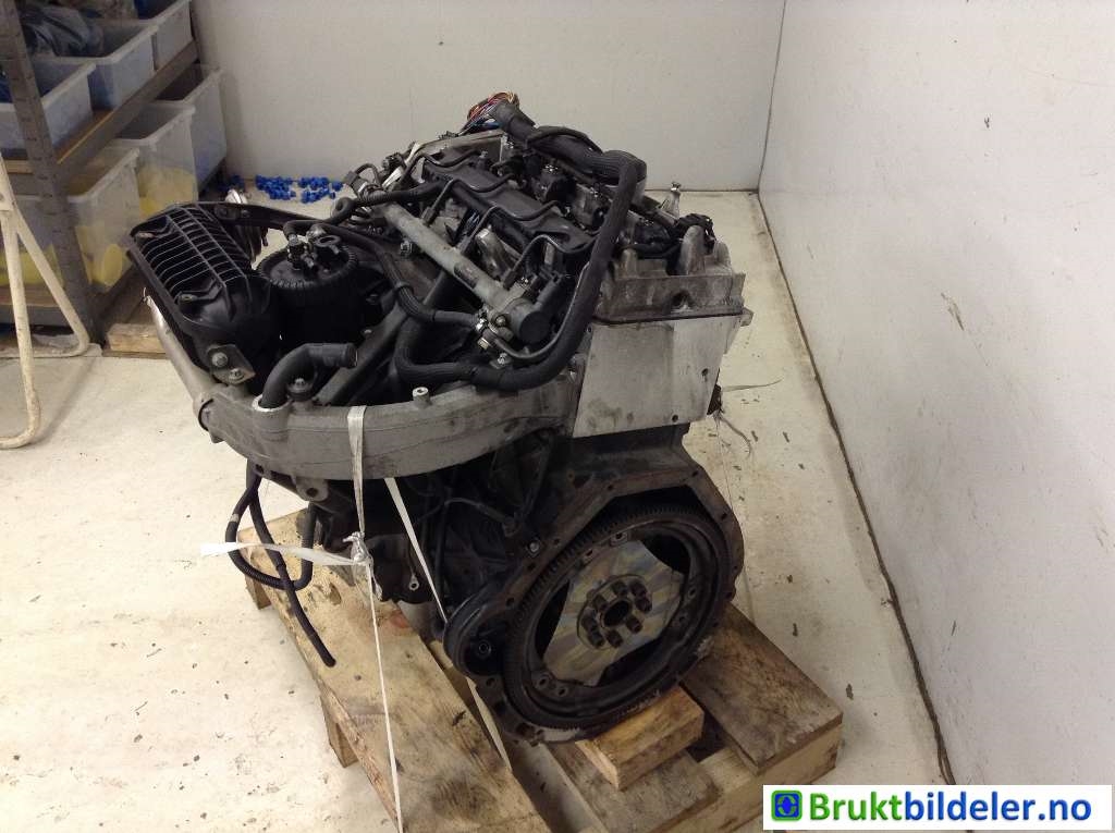bilde