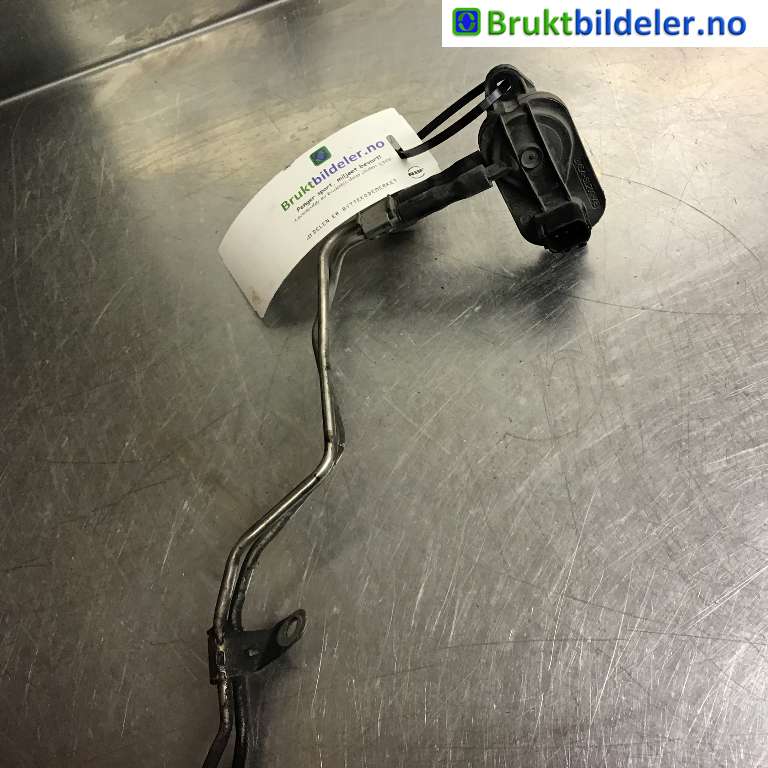 bilde