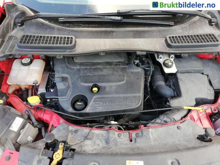 Motor diesel til Ford Kuga, 2013-2019  (FORD|)