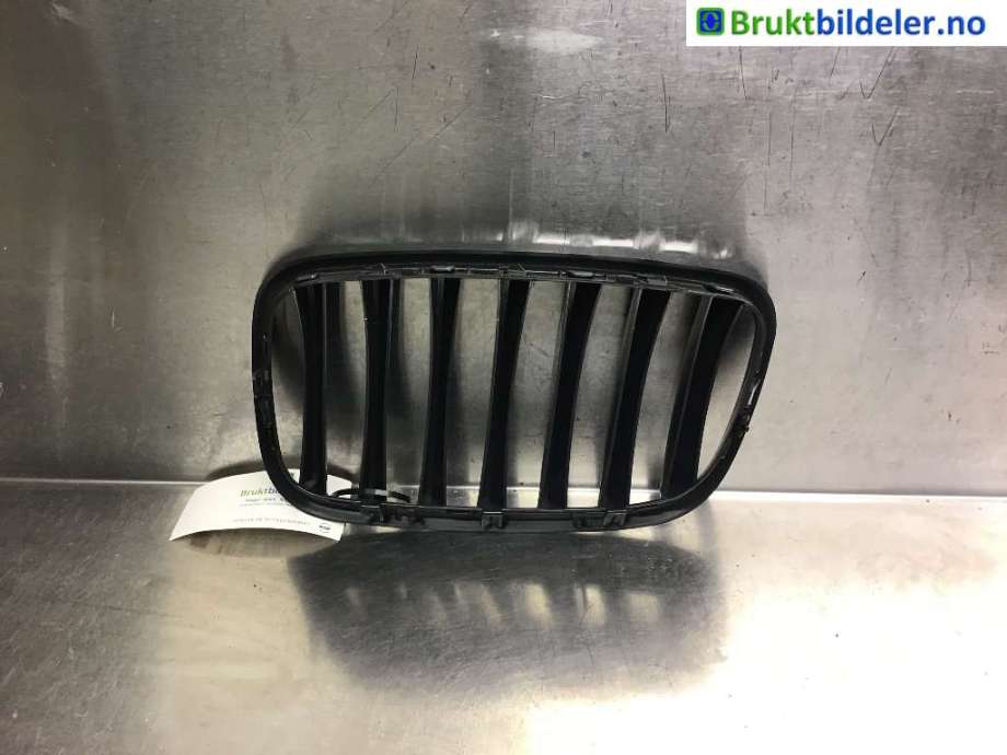 Grill til BMW X5 2007-2013 (E70) (E70) (BMW|51 71 2 150 246|)