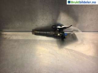 Dyse innsprøyting diesel til Renault Kangoo, 2008-2021 (Type II)  (RENAULT|0445110652|BBAR4E5)