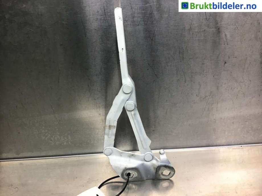 Panserhengsler til Ford Transit Custom, 2013-2023 (Type I)  (FORD|BK01-16801-AB)