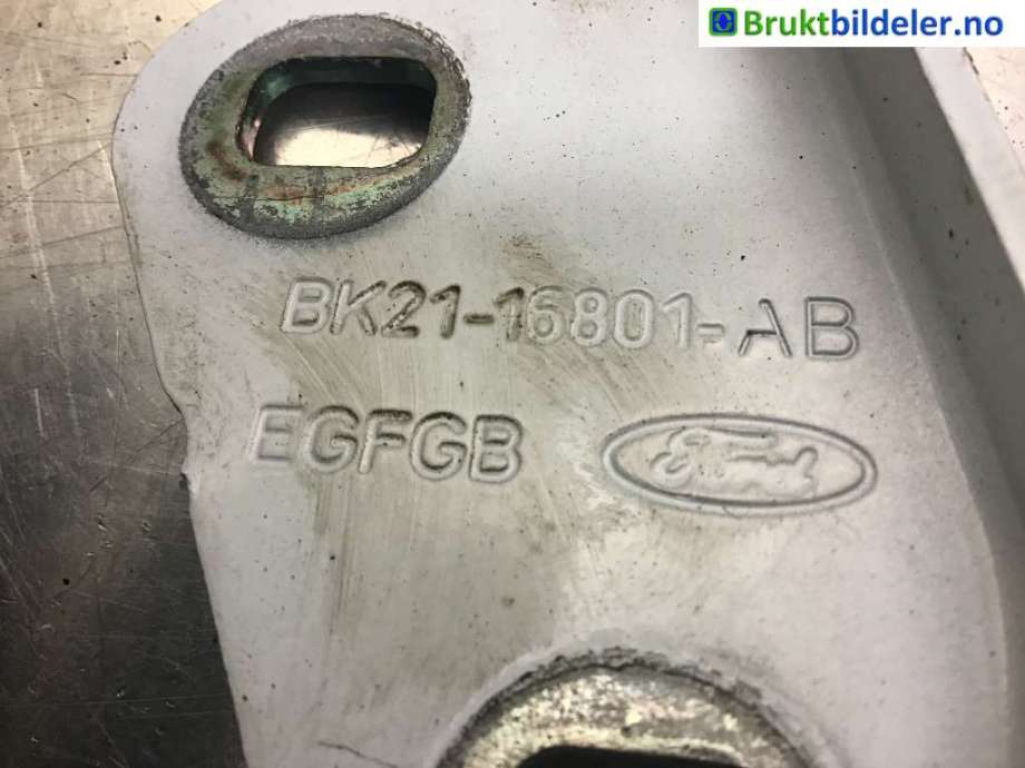 Panserhengsler til Ford Transit Custom 2013-2023 (Type I)  (FORD|BK01-16801-AB|)