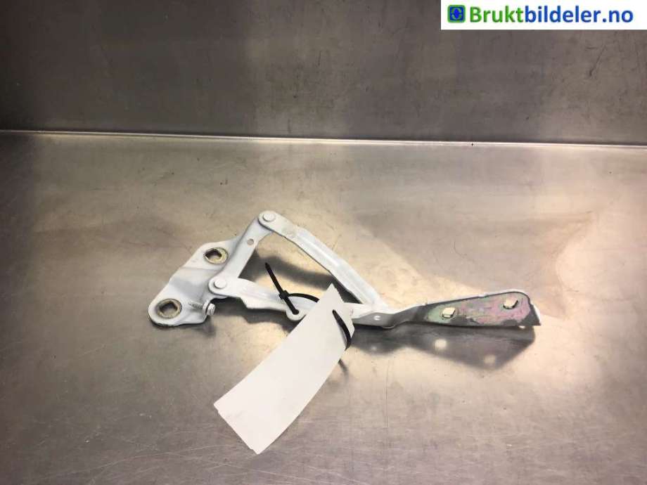 Panserhengsler til Ford Transit Custom, 2013-2023 (Type I)  (FORD|BK01-16800-AB)