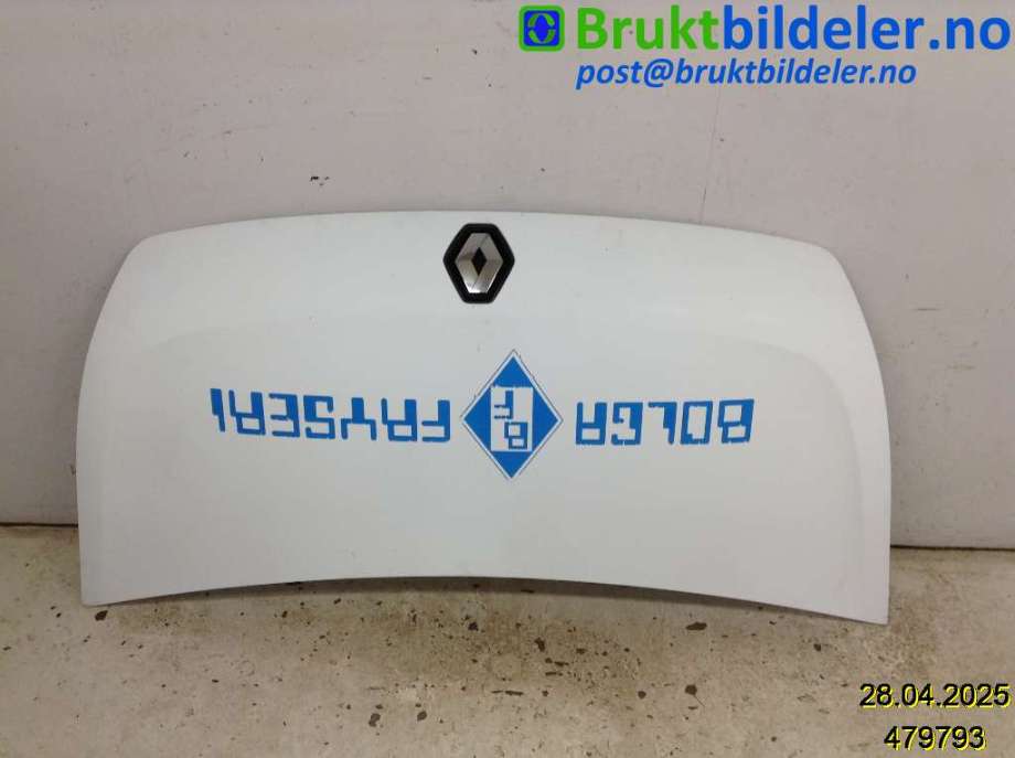 Panser til Renault Master, 2010-2013 (Type III, Fase 1)  (RENAULT|651001399R)