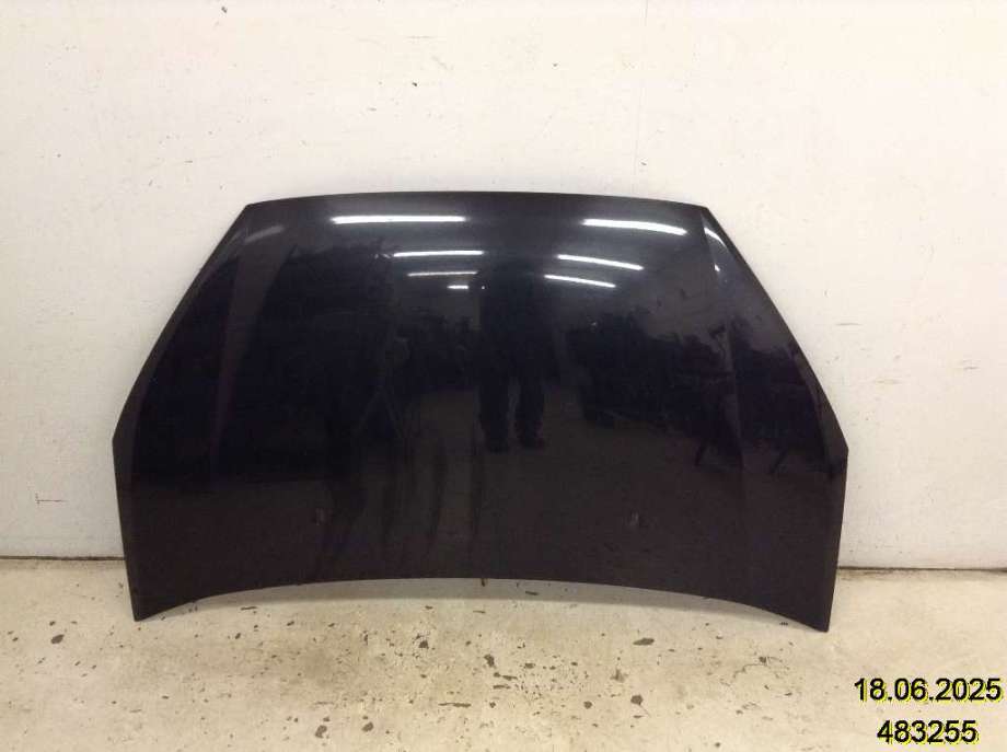 Panser til Ford Galaxy, 2007-2010 (Type III, Fase 1)  (FORD|1569486)